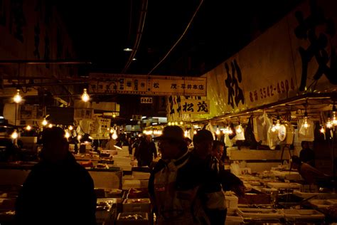 Tsukiji fish market | Tsukiji fish market | Raingod