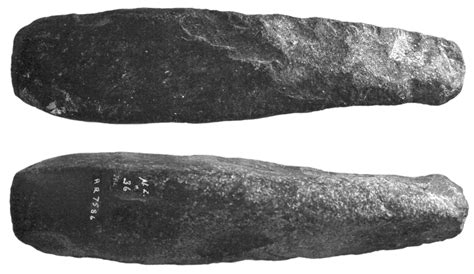 2.5: An example of a primary adze | Download Scientific Diagram