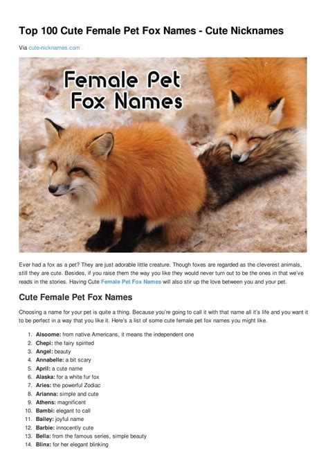 Top 100 cute female pet fox names cute nicknames by Cute Nicknames - Issuu