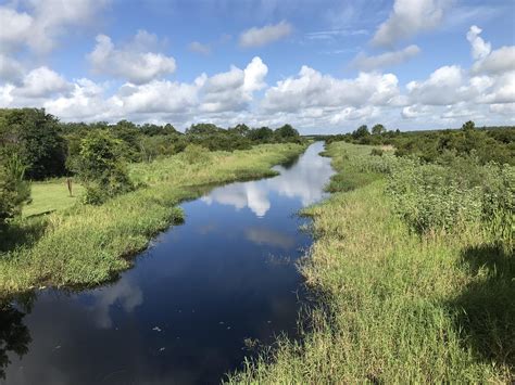 A lovely Mother’s Day hike at Lake Kissimmee state park. : r/florida