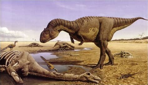 Abelisaurus was a large theropod dinosaur. It's only known from a ...