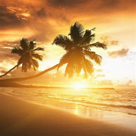 Caribbean Coast Sunset iPad Wallpapers Free Download