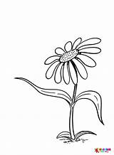 Coloring Pages For Kids And Adults sketch template