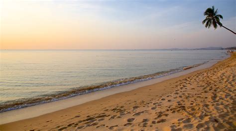 Long Beach Travel Guide: Best of Long Beach, Phu Quoc Travel 2024 | Expedia.co.uk