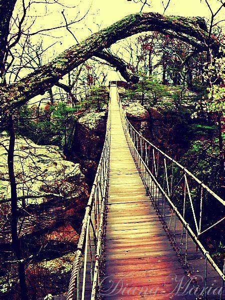 Rock City the Swing along Bridge. | Georgia vacation, Places to see, Places to travel