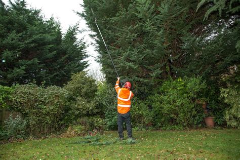 Tree Lopping vs Tree Pruning | Artemis Tree Services