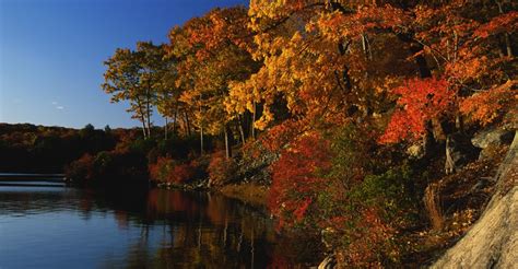 maple-trees-along-lake-in-autumn - New York Pictures - New York - HISTORY.com