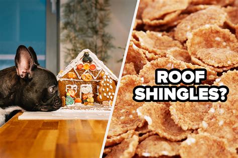 Decorate A Gingerbread House And We’ll Tell You What Your Pets Want This Holiday Season