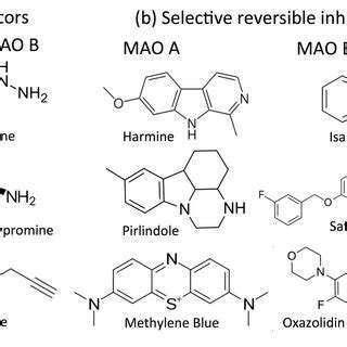 Structures of typical MAO inhibitors. (a) Irreversible inhibitor drugs ...