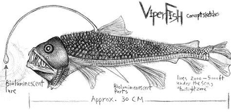 ViperFish Concept Sketch by genki-senshi on DeviantArt