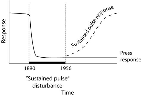 4. A sustained pulse disturbance, in which the flood regime was altered ...