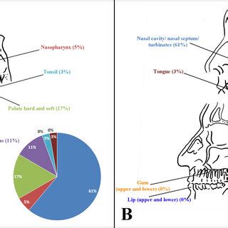 Graphical representation of PRAME expression (% of positive cells and ...