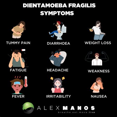 Dientamoeba Fragilis: What You Need To Know - Alex Manos Movement ...