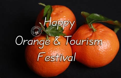 Happy Orange and Tourism Festival - Desi Comments