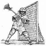 Lacrosse Coloring Pages  Free & Printable sketch template
