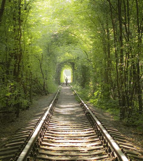 Ukraine, le « Tunnel de l’amour » un lieu féérique
