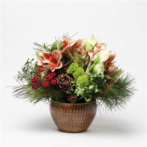 Striped Amaryllis Arrangement | Gump's