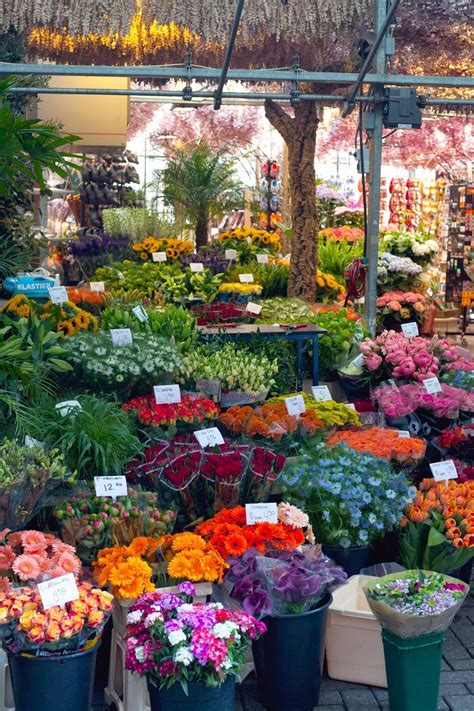 Floating Flower Market, Amsterdam, Netherlands | Amsterdam flower market, Flower shop, Flower market