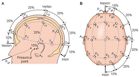 EEG 10-20 Electrode Placement | Download Scientific Diagram