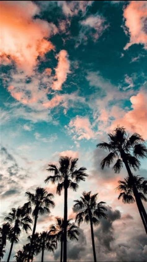 Summer Aesthetic Wallpapers - Top Free Summer Aesthetic Backgrounds ...