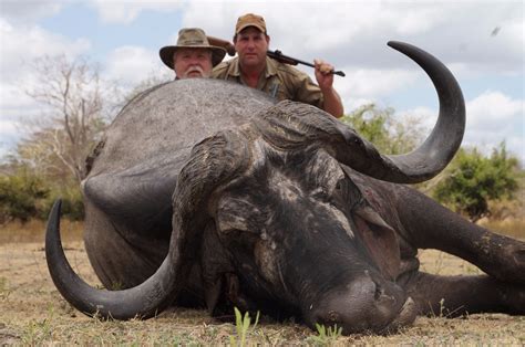 7-Day Cape Buffalo Hunt for One Hunter in Tanzania - Includes Trophy Fee and Sightseeing