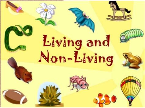 Living Things and Non-Living Things - ClassNotes.ng