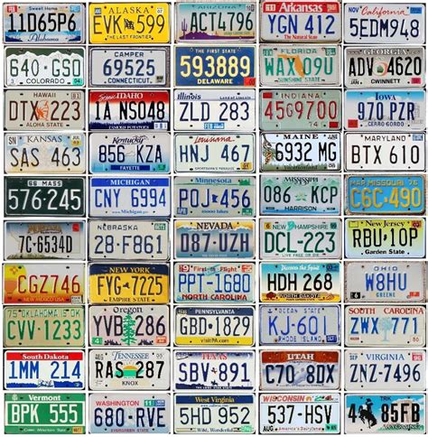 All 50 States License Plates 2024 - Codi Melosa