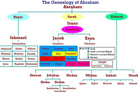 12 Tribes Of Israel Family Tree | Bible family tree, Sons of jacob, Bible genealogy