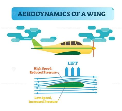 How the wing flies? Aerodynamics of a wing – air flow diagram with wind flow arrows and wing ...