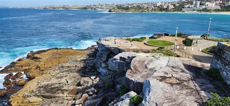 Coastal Walk Bondi Beach Promenade Mountain Biking Trail