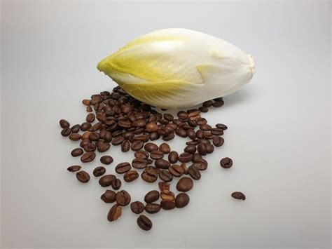 Chicory, Surrogate and Roasted Coffee Provide New Insights Into Mechanisms of Taste Perception ...