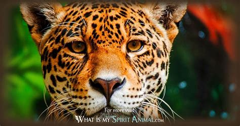 Jaguar Symbolism & Meaning | Spirit, Totem, & Power Animal