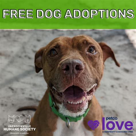 Free Dog Adoptions at Petco - Jacksonville Humane Society