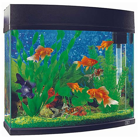 Cheap Fish Tanks & Aquariums | Tips & Guide