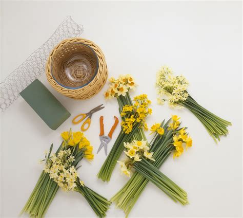 Basic Flower Arranging Supplies