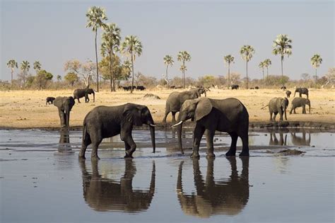 Zimbabwe Safari Tours: Directory of Zimbabwe Tour Companies