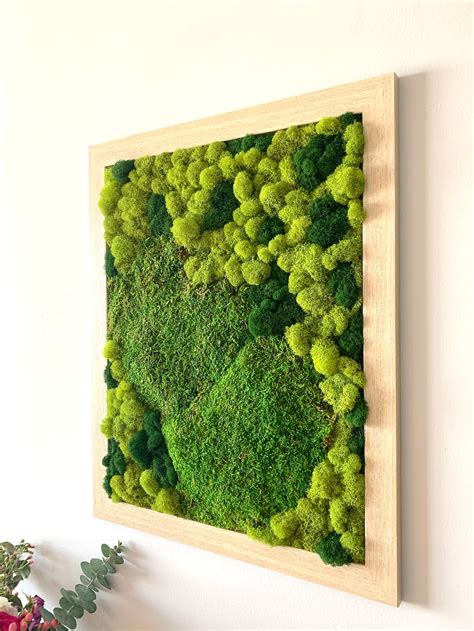 Large Moss Wall Art Framed Moss Art Preserved Moss Wall | Etsy