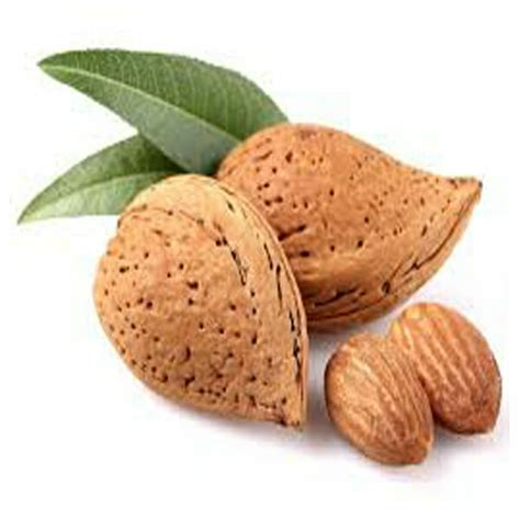 ALMOND SWEET OIL | PRANNA ESSENTIAL OILS