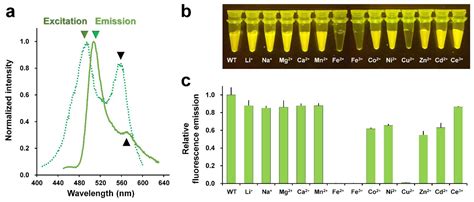 Molecules | Free Full-Text | Metal-Induced Fluorescence Quenching of Photoconvertible ...