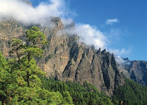 Canary Islands, lush forests, glorious beaches, perfect weather....