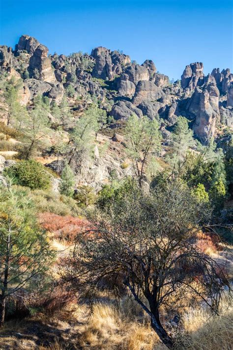 10 EPIC Things to Do at Pinnacles National Park 2023 (+ Photos)