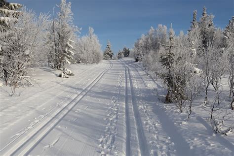 Cross-country skiing in Norway: the ultimate guide - Routes North