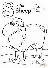 Letter S Is For Sheep coloring Page  Free Printable Coloring Pages sketch template