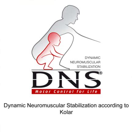 Dynamic Neuromuscular Stabilization (DNS) | Altavie Health