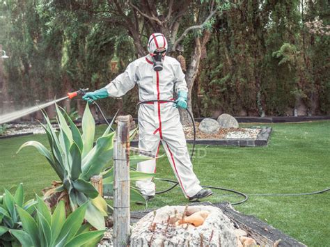 Fumigator in white uniform spraying substance on garden — outdoors ...