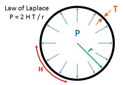 Law of Laplace (Pressure)