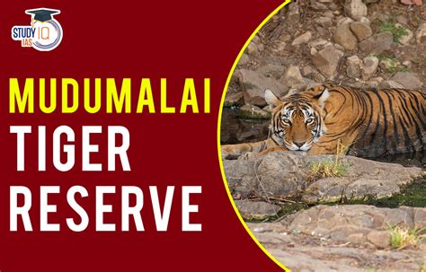 Mudumalai Tiger Reserve Map, Flora, Fauna, Significance