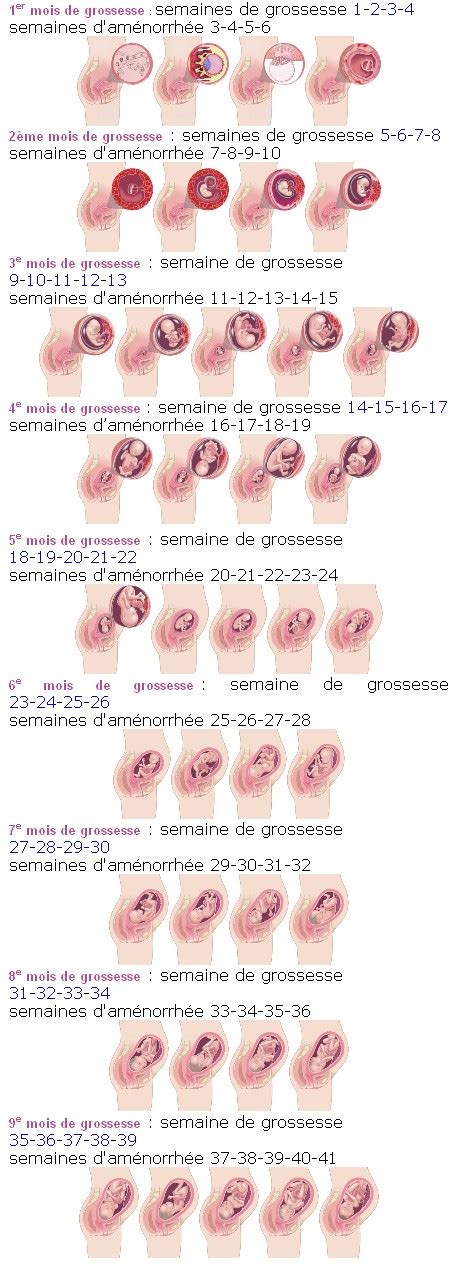 Calcul de l'âge de la grossesse - UntiBebe family - Blog famille, voyages, mode enfant & lifestyle