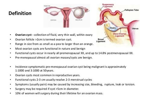 Adnexal masses - Ovarian Cysts (2008)