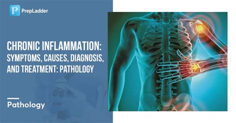 Chronic Inflammation : Symptoms, Causes, Diagnosis, and Treatment